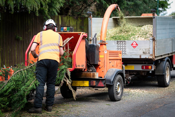 Best Commercial Tree Services  in Mabank, TX